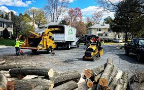 Best Lawn Grading and Leveling  in White Island Shores, MA